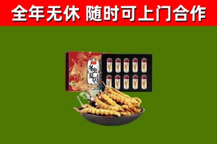 山南回收冬虫夏草价格