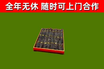 山南回收海参